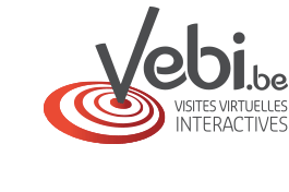 Vebi Logo